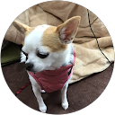 まみ profile picture